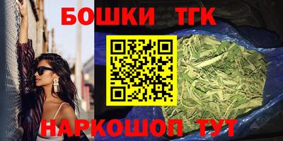 тгк Будённовск